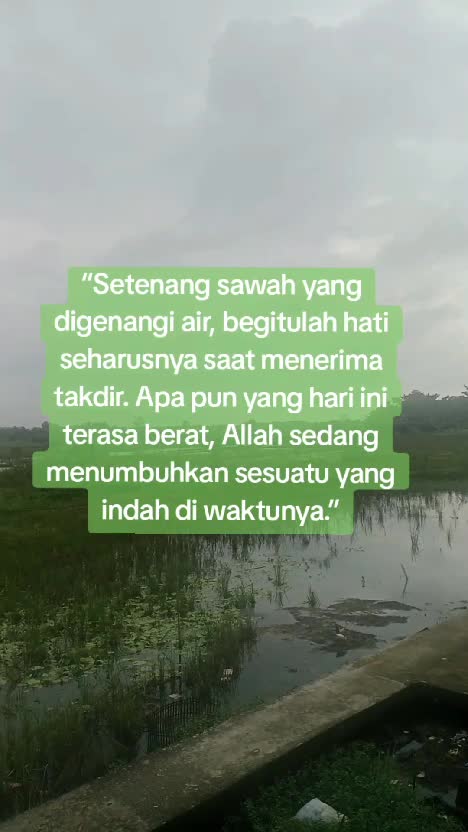 Motivasi Hidup  #motivasi  #Inspirasi  #quotes 