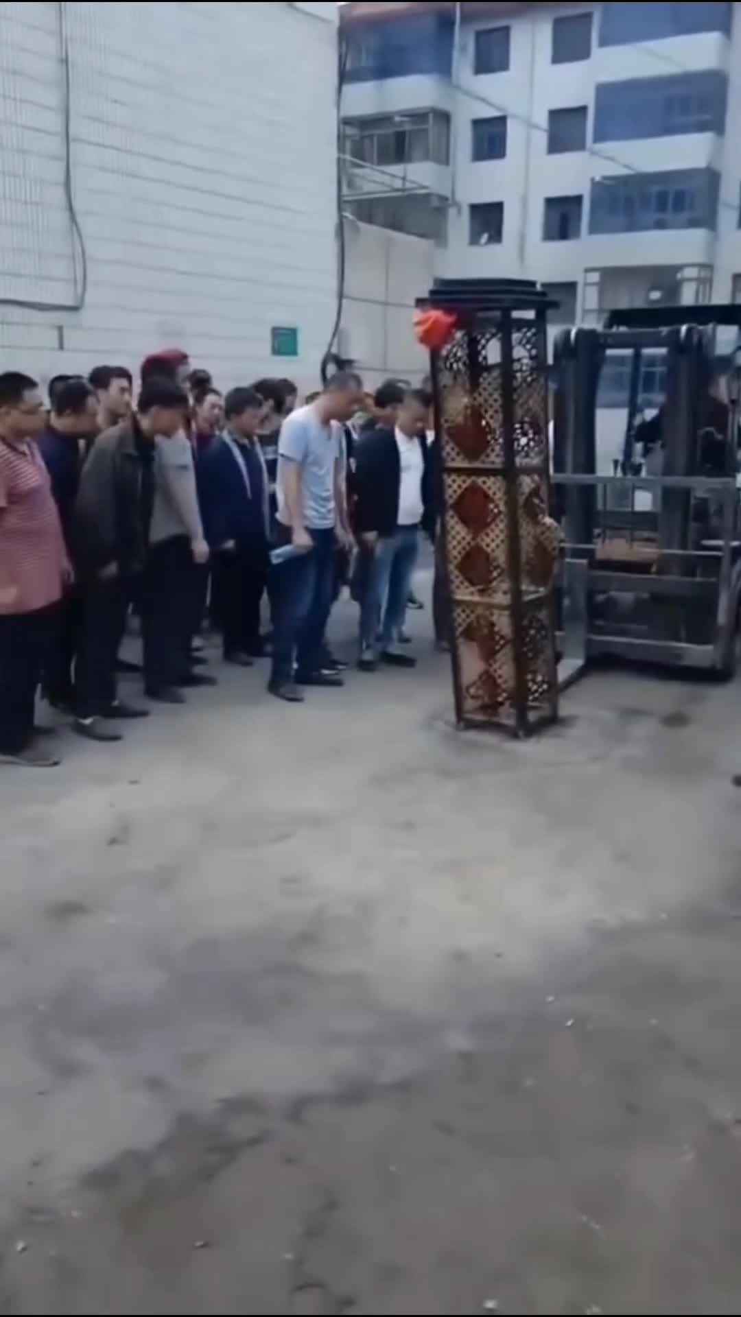 APES BANGET
#videolucu