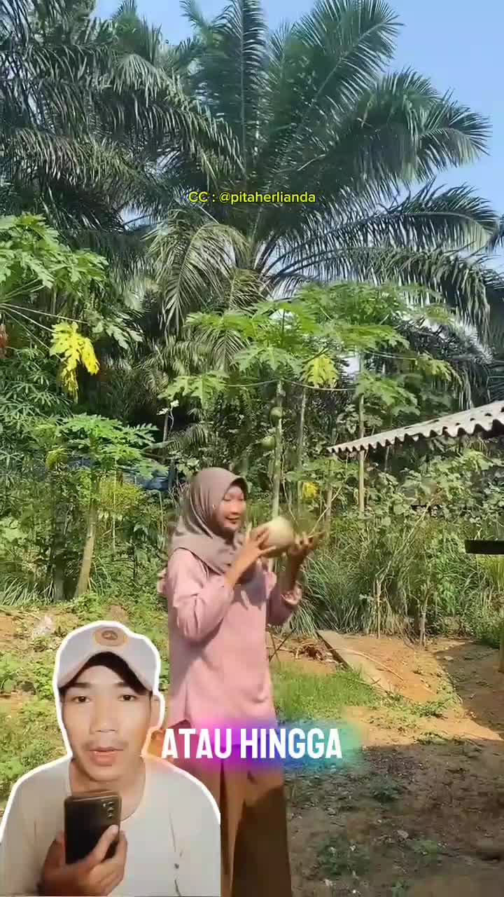 Hanya dari buah labu liar, jadilah celengan uang koin yang unik, lucu dan ramah lingkungan  #shorts #RCTIPlus 