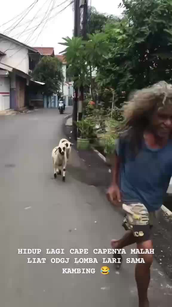 vgg