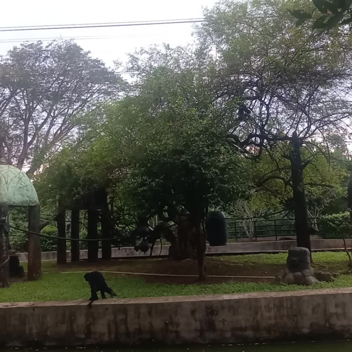 Ragunan  #tempatliburanternyaman 