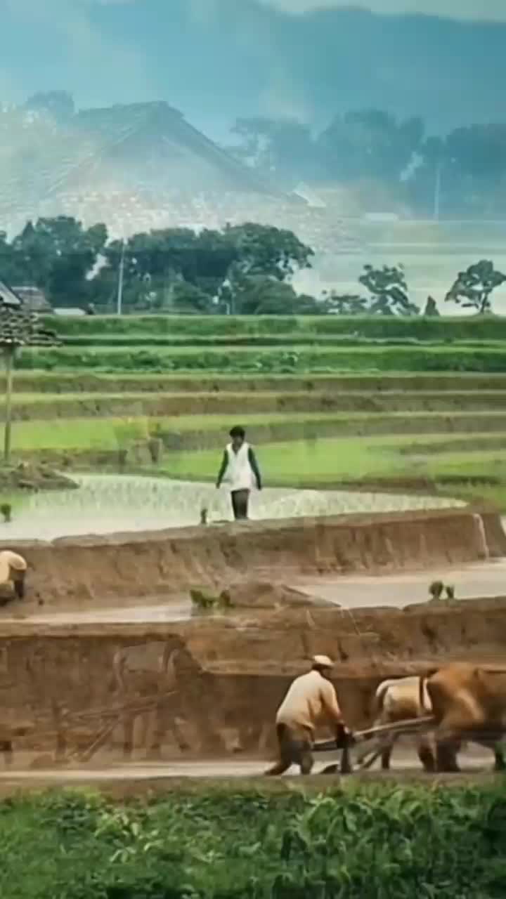 di tempat kalian masih ada yang seperti ini  #short  #HOTrctiplus  #RCTIPlus  #fyp 