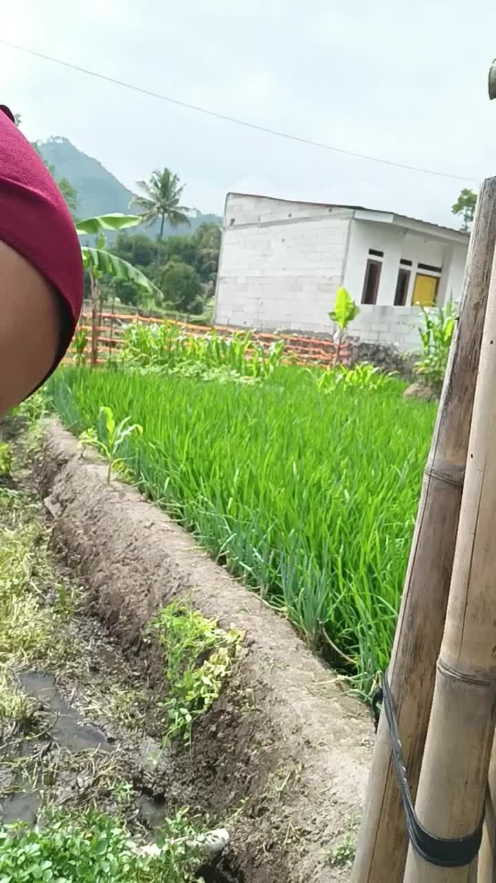 ngontrol dulu perkebunan selada  #short  #HOTrctiplus  #RCTIPlus 