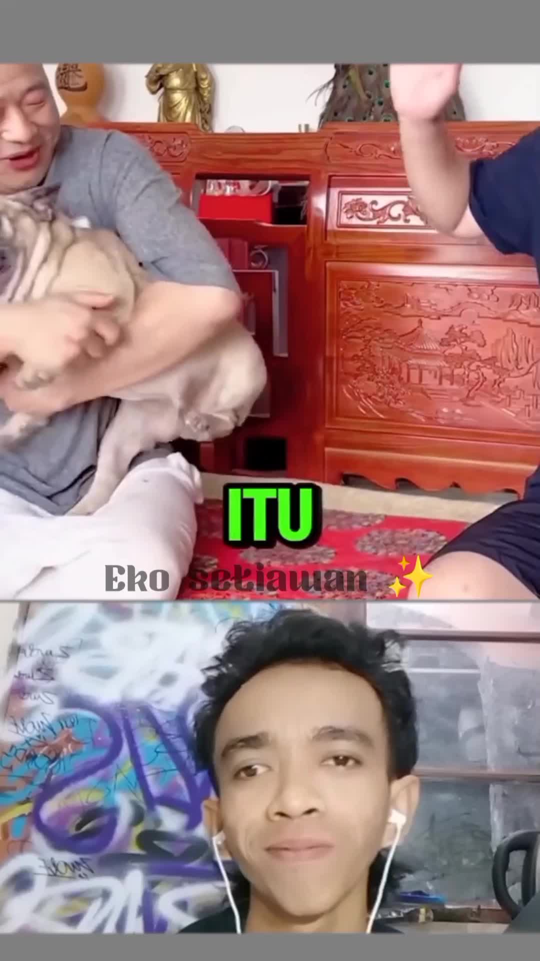 si guguk lucu banget ketika di bully😁