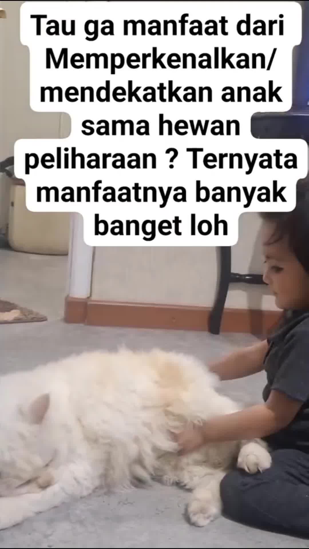 Banyak manfaat nya ya mengenalkan hewan ke anak..yuk tonton 


#video #reel #fypシ #fypシ゚viral #viral #fyp #kucing #pet #catlover #pecintakuc