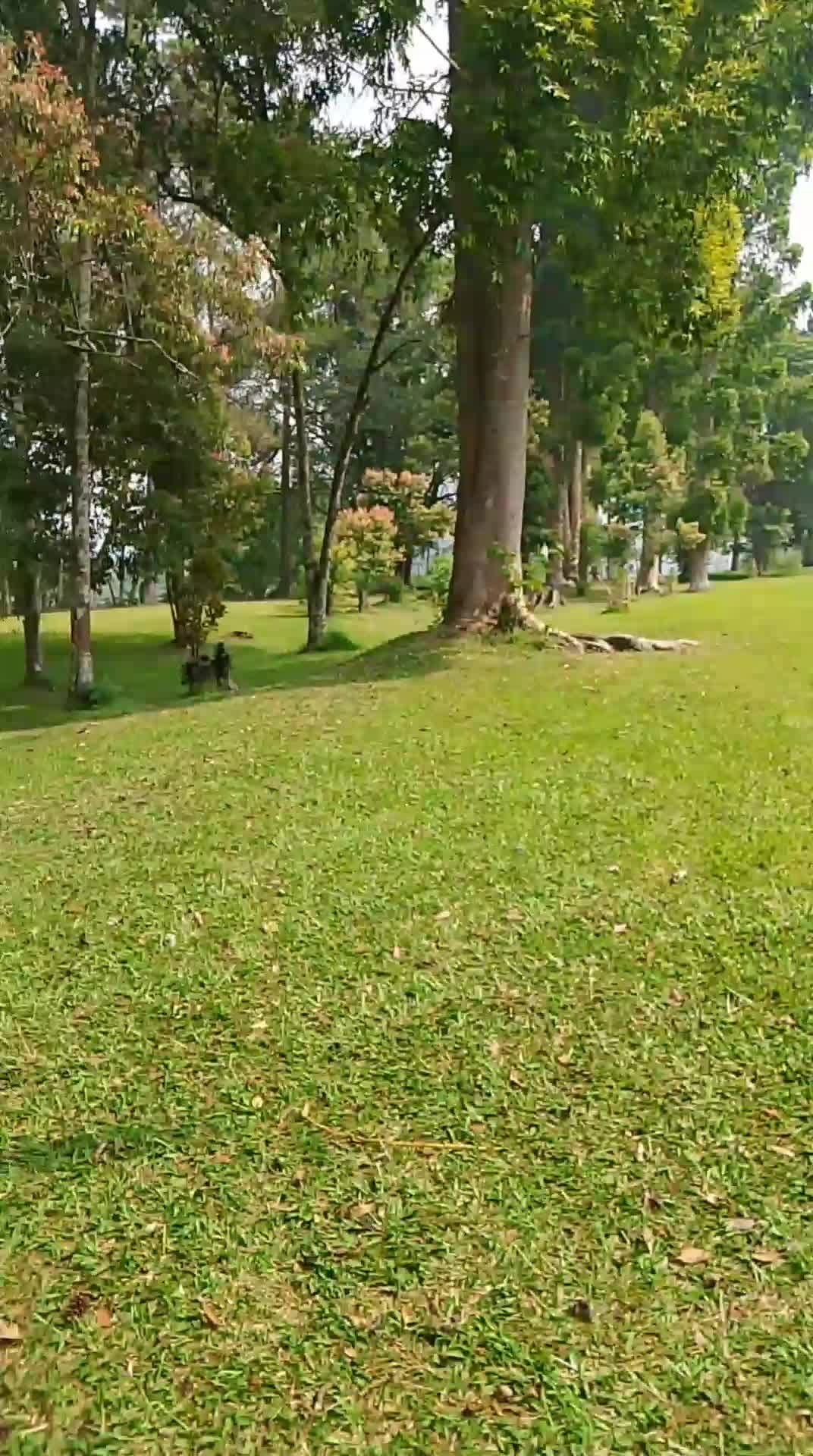 wisata pondok halimun
 #kusukabumi