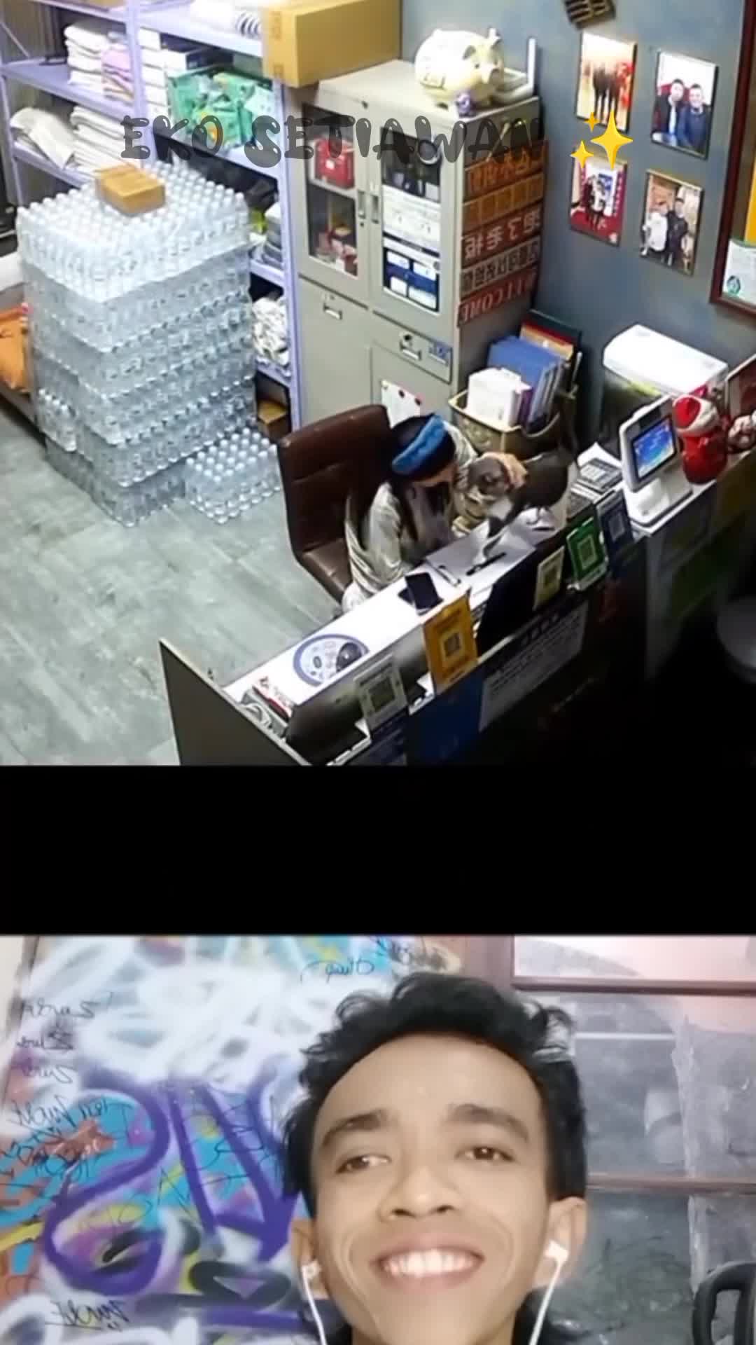 wanita ini tidak menyangka ia memberikan belaian terakhir untuk sikucing ?