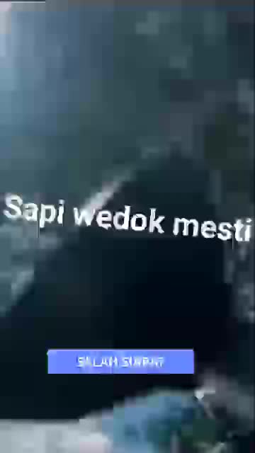 Sapinya emosi gaes.... 