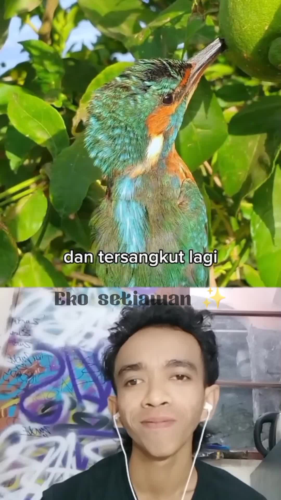 seorang laki-laki menemukan burung yang unik😍 #duett #reactiont #fypシ゚viral 