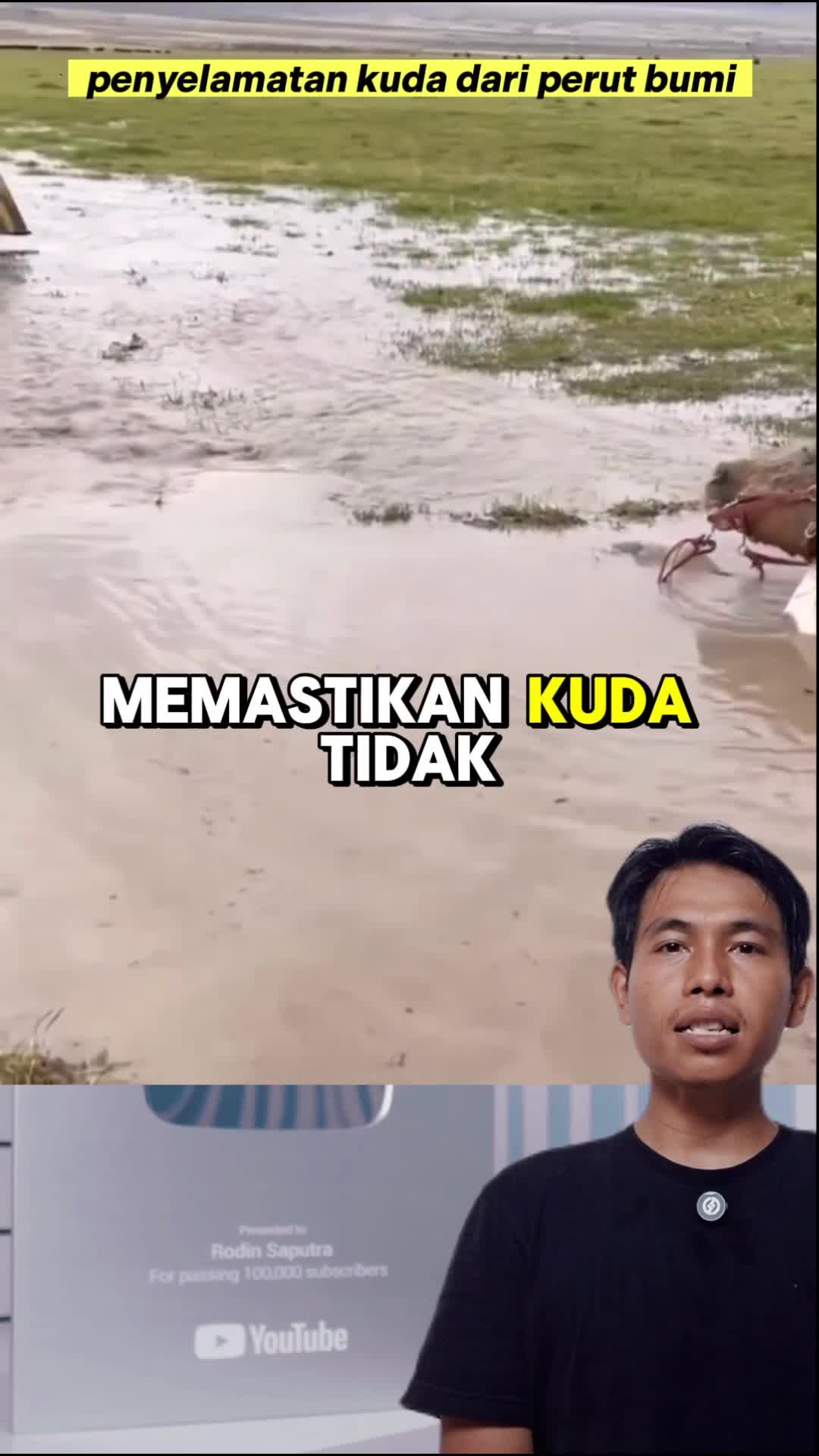 penyelamatan kuda dari perut bumi #keren #kuda #selamat