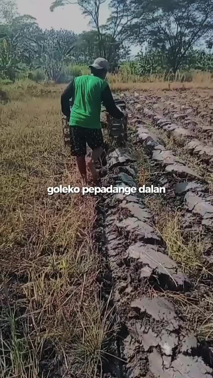 nraktor sawahh
