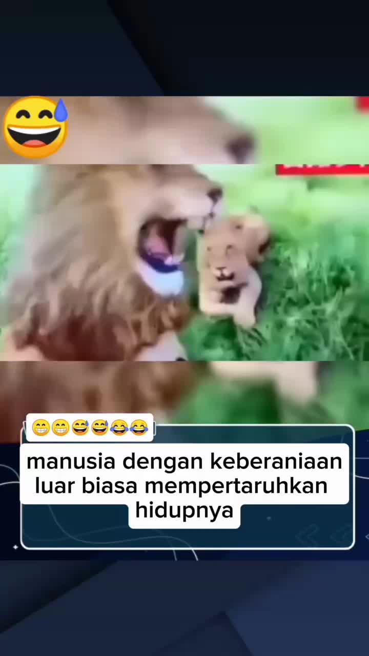 #videolucu #videoviral #funnyvideo #lion
