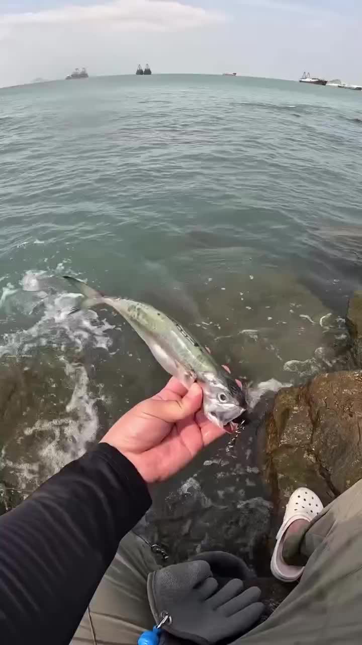 MENANGKAP IKAN #ikan 
