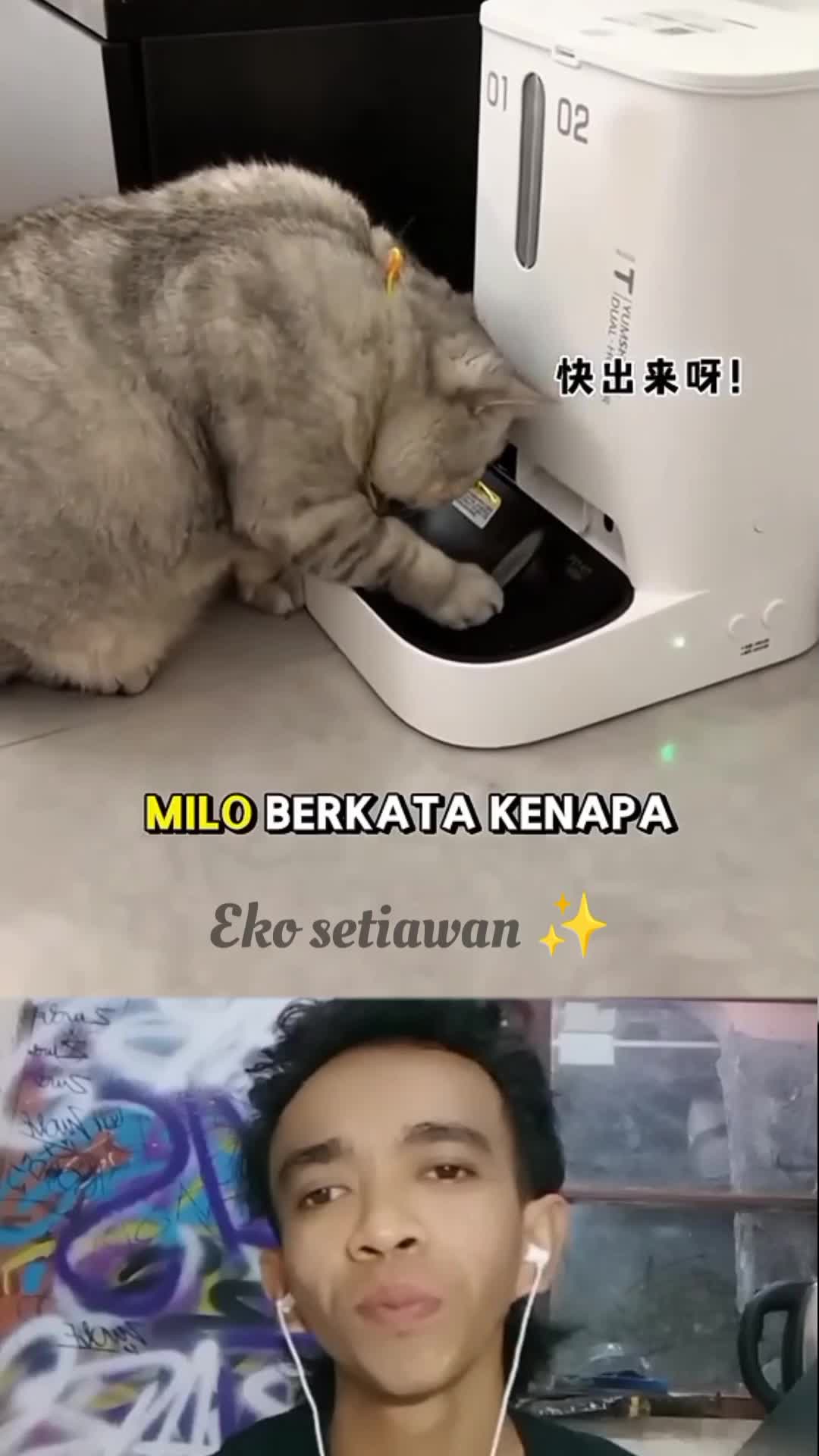 kucing Milo sedang menimbang berat badan nya😍😊