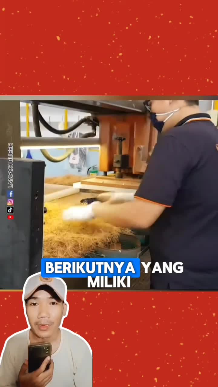 Hanya dari sabut kelapa...
Jadilah pot tanaman yang ramah lingkungan & menyuburkan #potsabutkelapa  #shorts  #RCTIPlus 