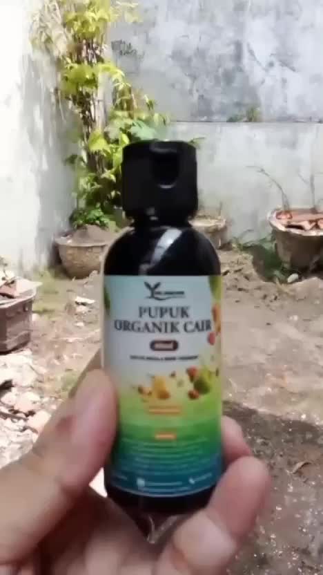 Pupuk organik cair  #kebunshaka  #pupuk  #hobby  #berkebun 