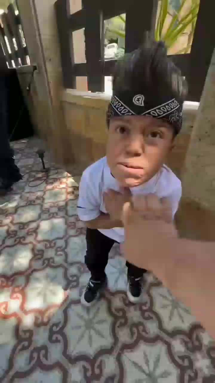 di sangka gorila yang hidup ?
 #short  #RCTIPlus 