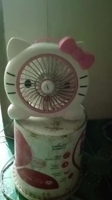 bisa hidup di malam hari 