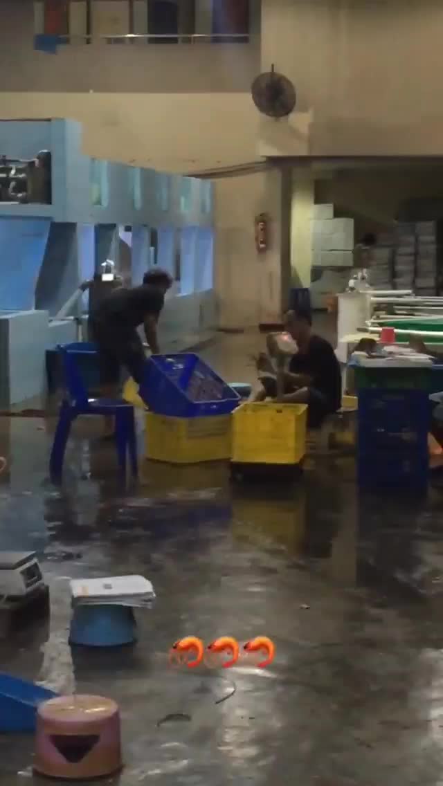  #Lobster 