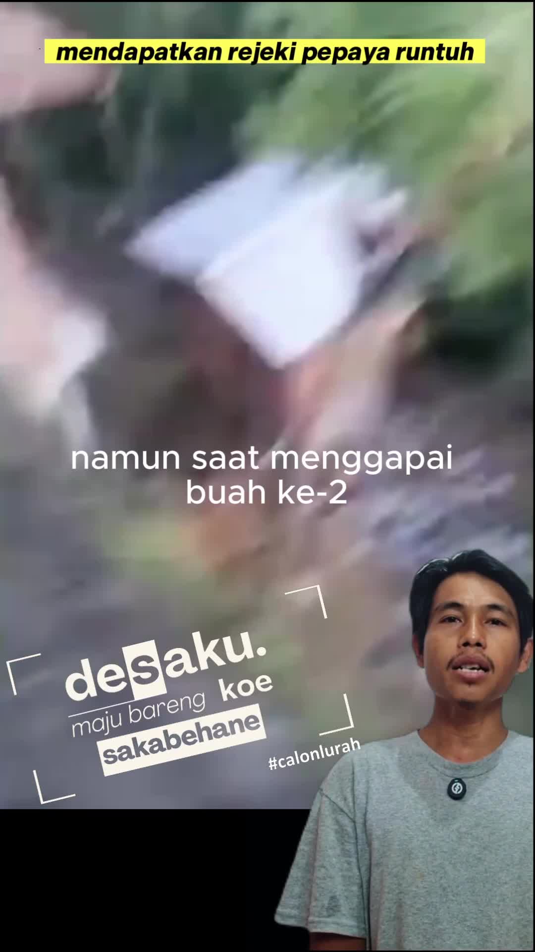 mendapatkan rejeki pepaya runtuh #durianruntuh #ngakak #lucu