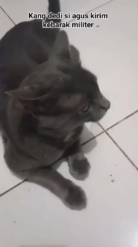 KANG DEDI MULYADI