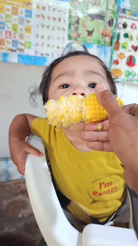 Belum 1 Tahun, Si Joakim Menangis Minta Jagung Rebus  #shorts  #shortsindonesia  #RCTIPlus  #fyp  #Viral 