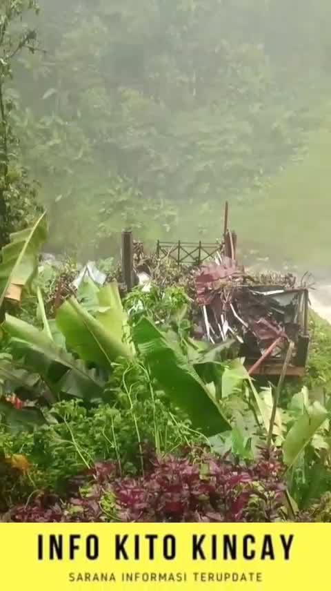 alam kerinci sedang tidak baik baik saja 
 #piknikkerinci#kayuaroo 