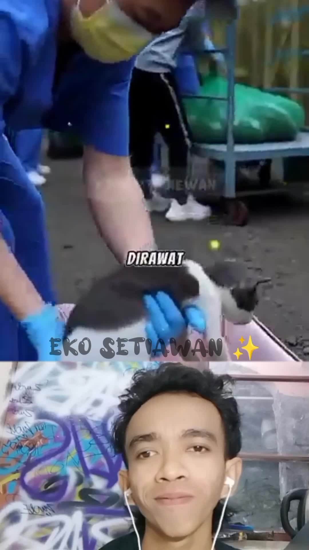 menyelamatkan 221 kucing di dalam karung ?