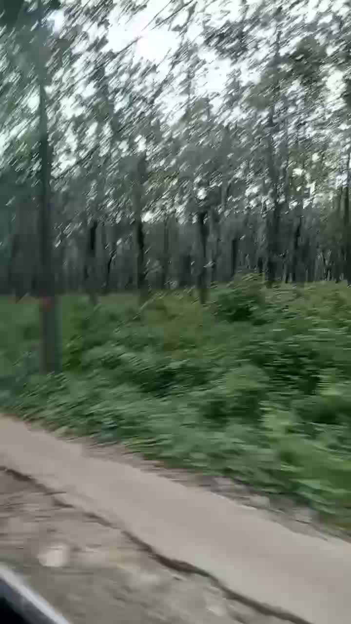 suasananya adem bgt 