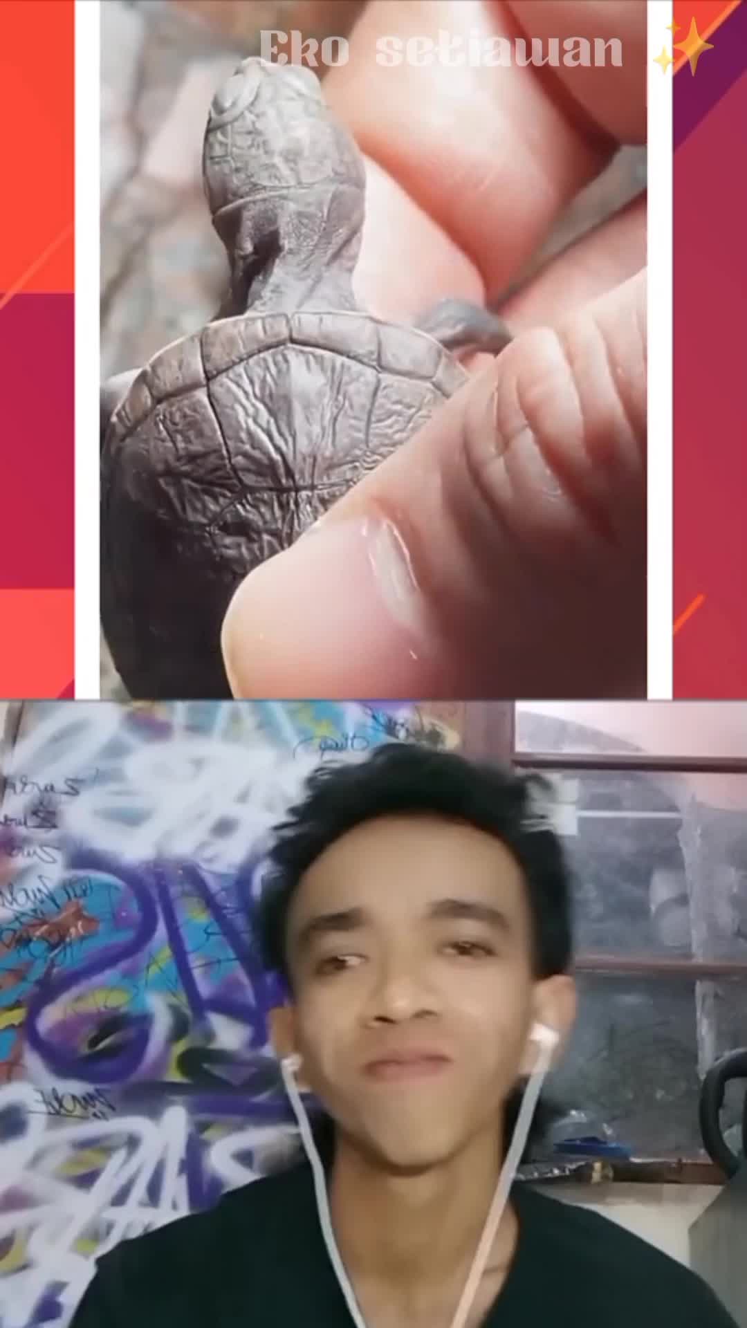 seekor kura-kura bertelur di depan rumah 😍 #duett #reactiont #pengisisuara #cliper #kreator #HOTrctiplus 