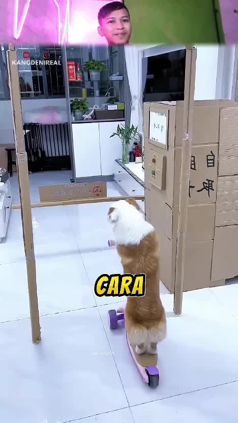 keren nih