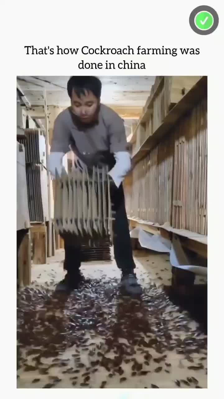 This Will Blow Your Mind! Part 174 🔥 #creativeprocess #innovation #trendingnow #inspiration