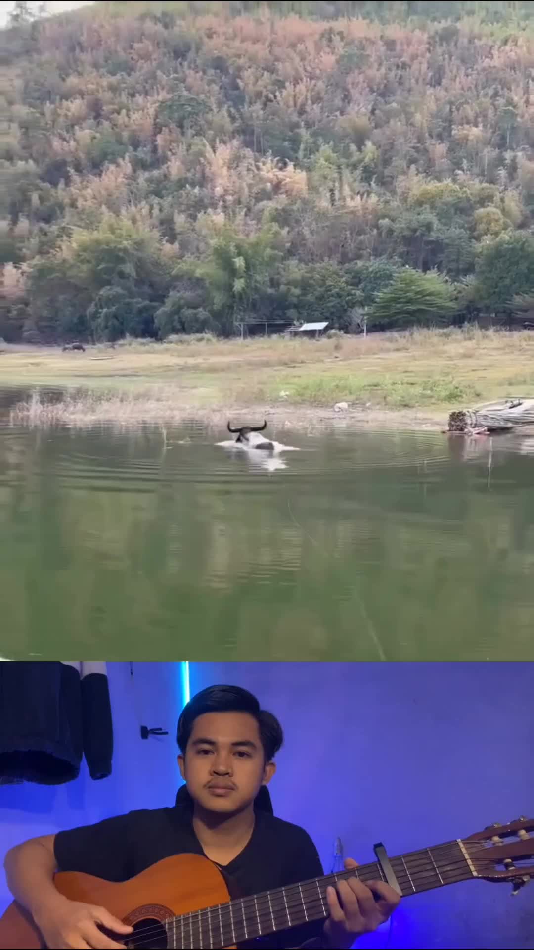 Dikira ikan babon