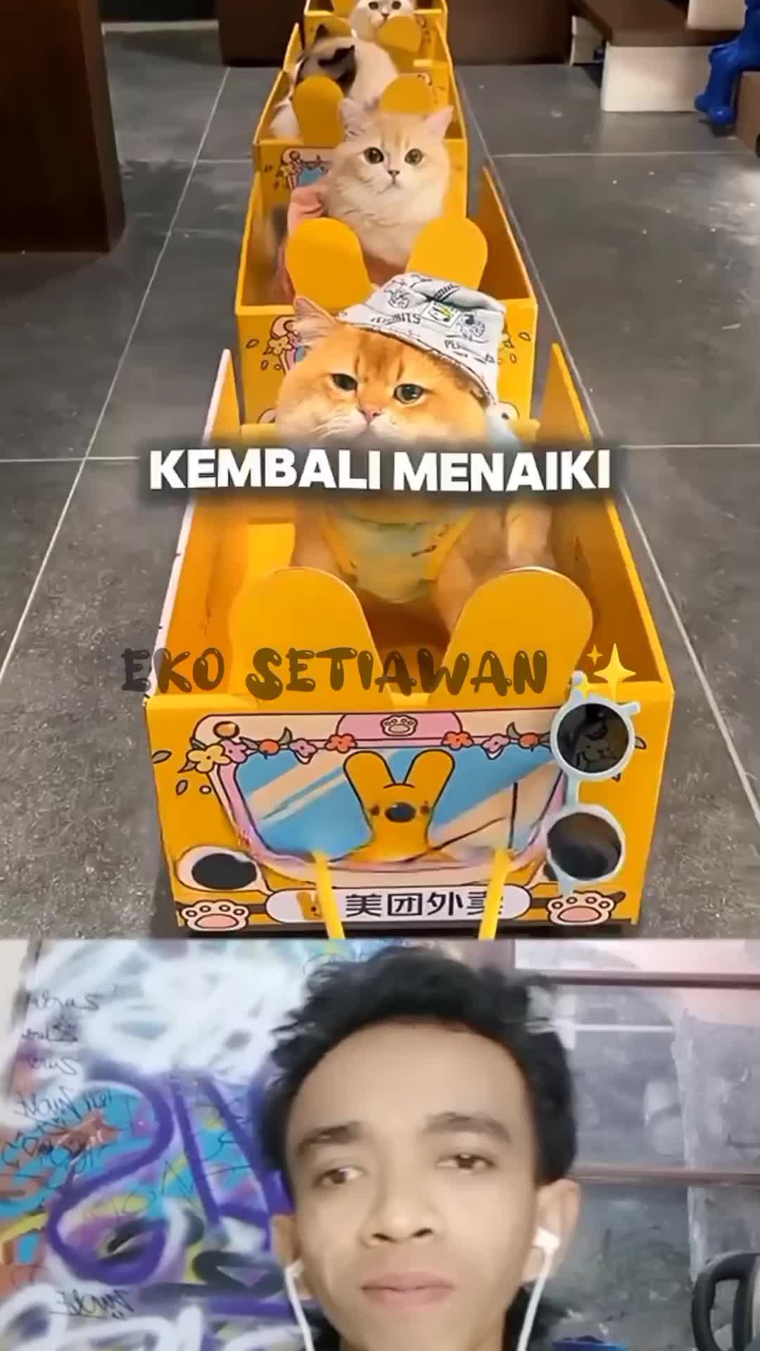 kucing kucing ini sangat senang menaiki kereta mini kecil ??