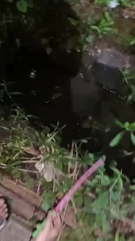 nyari kepiting best  #fyp  #Viral  #trending 