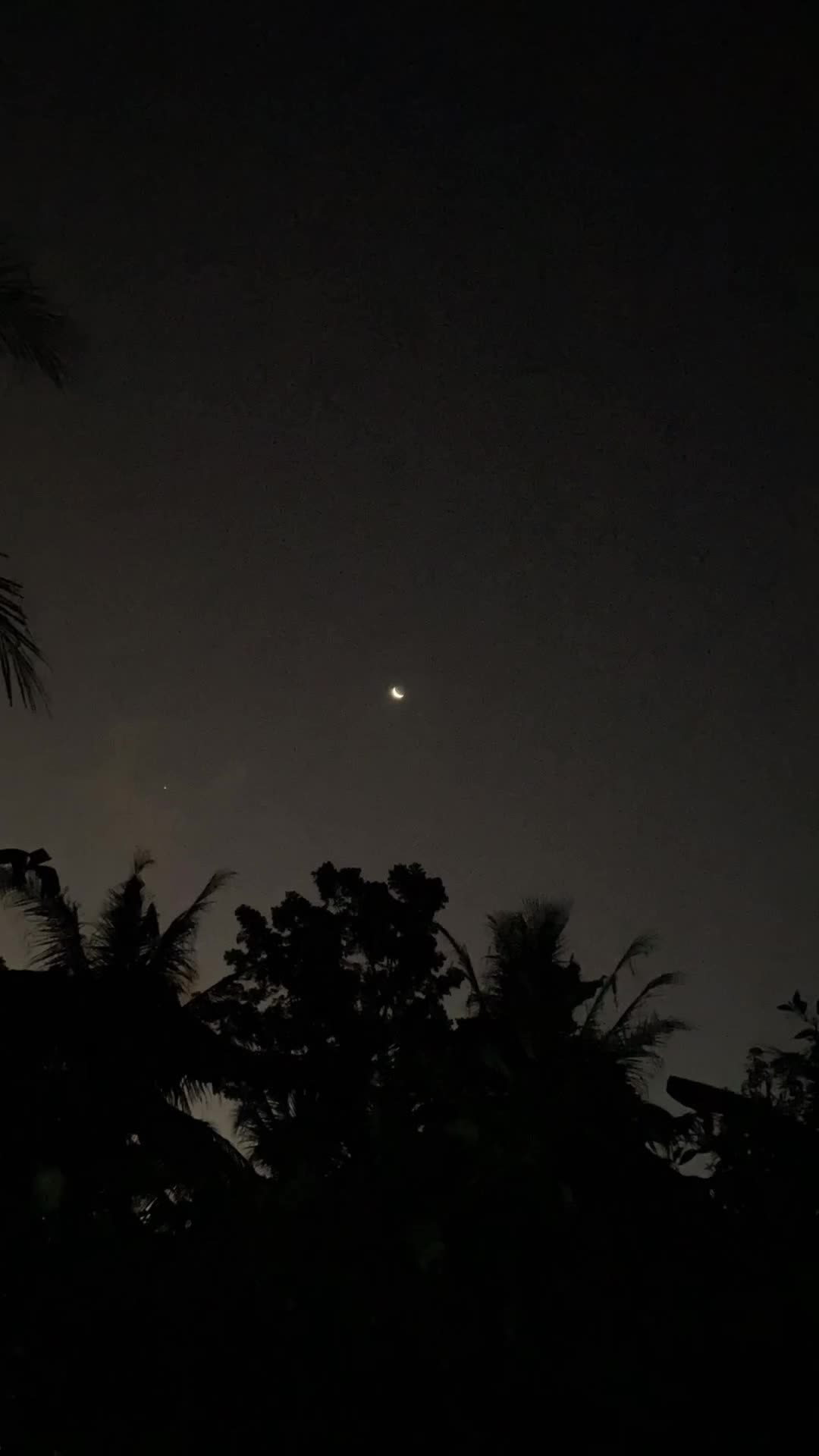 Bulan Di malam Hari
 #Moon  #bulan  #malamhari  #cinematic  #timelapse #viral #trending 