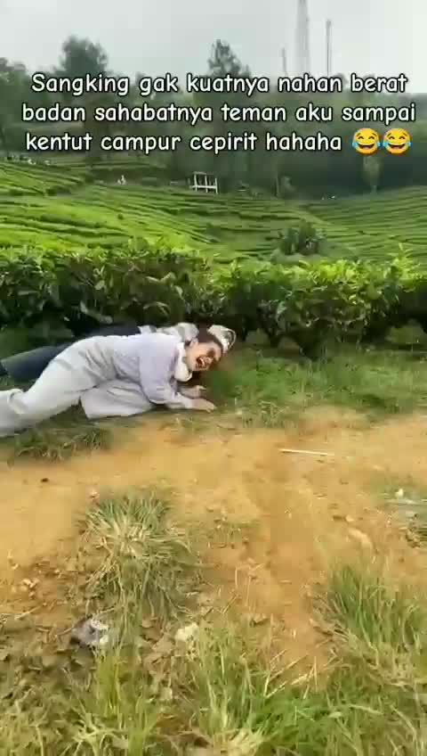 dd