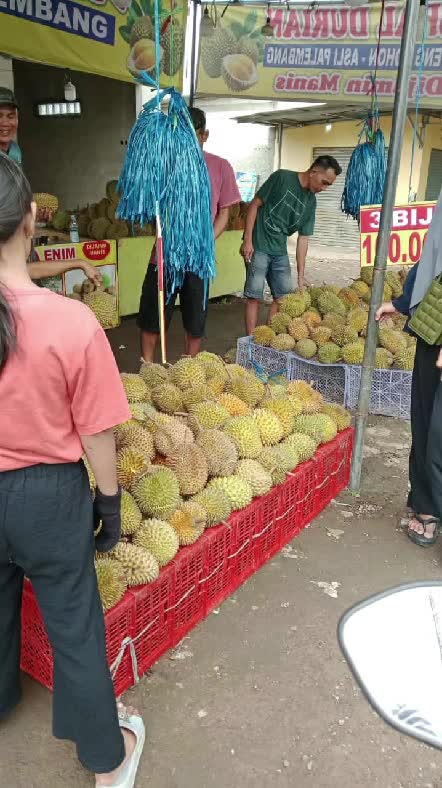 jjn es serut dn mukbang duren