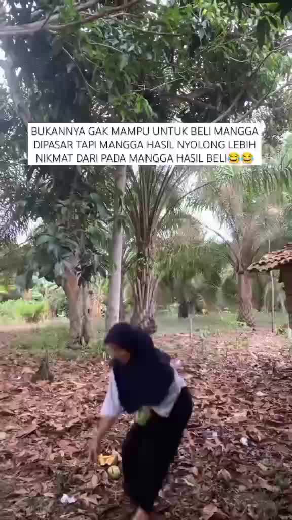 hhg