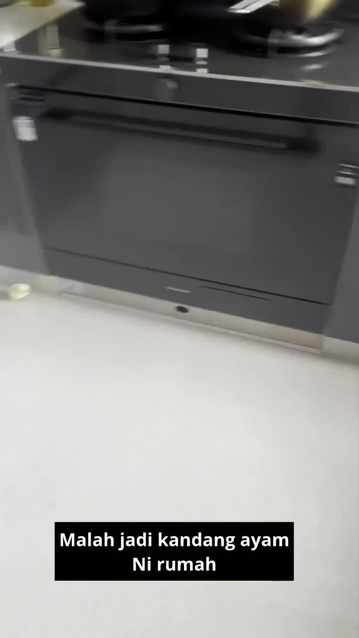 pulang liburan telur ayam ada netas
 #short  #HOTrctiplus  #RCTIPlus  #fyp 