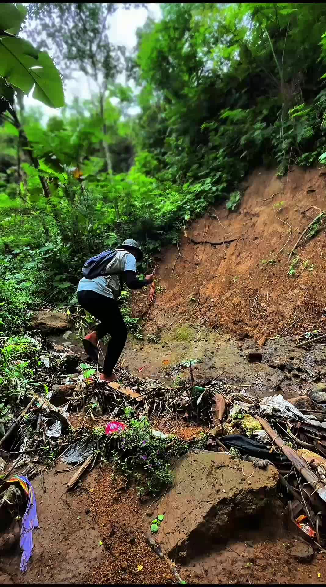 mamcing ikan predator sampai kewalahan