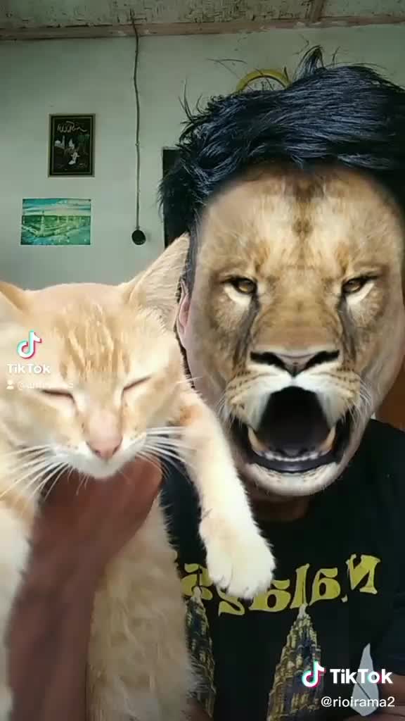 vidio lucu lagi mudik dikampung halaman 🤣🤣🤣