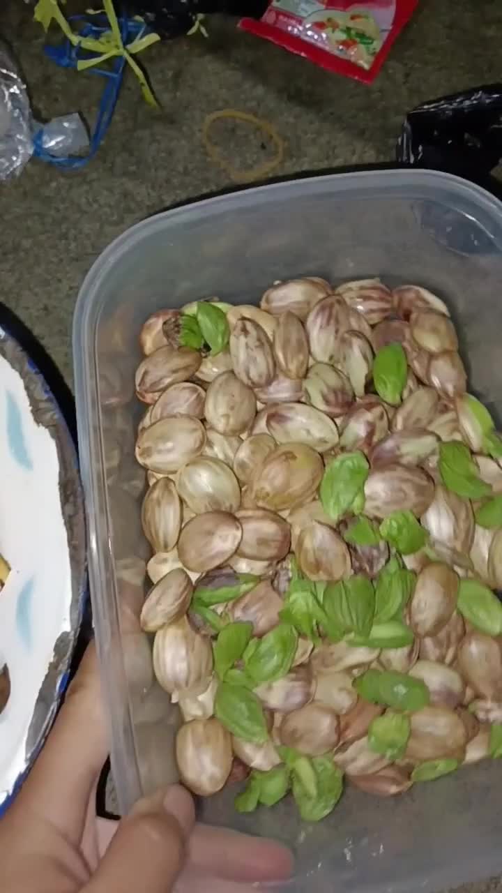 nga liwet lagi bareng keluarga besar
 #minivlog  #showyourtalent 