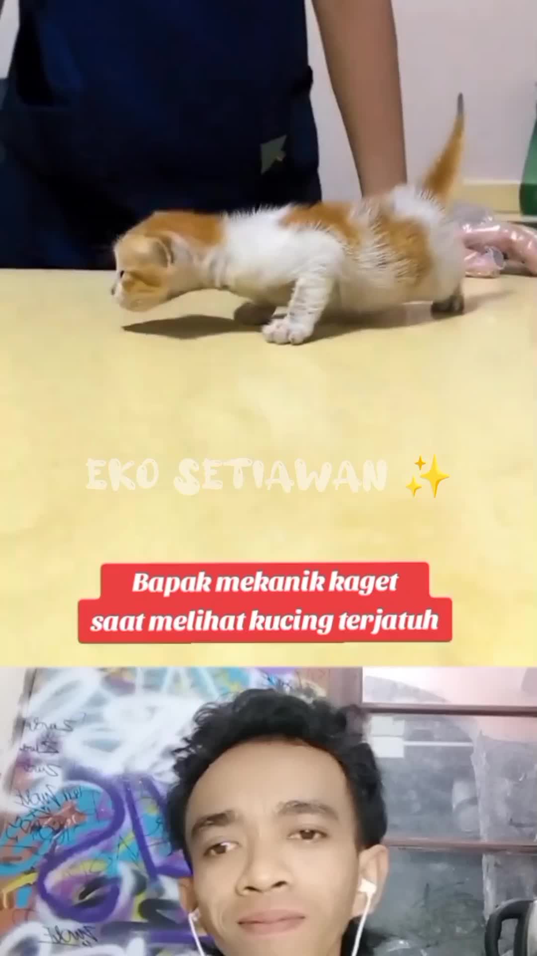 bapak mekanik kaget saat melihat kucing terjatuh??