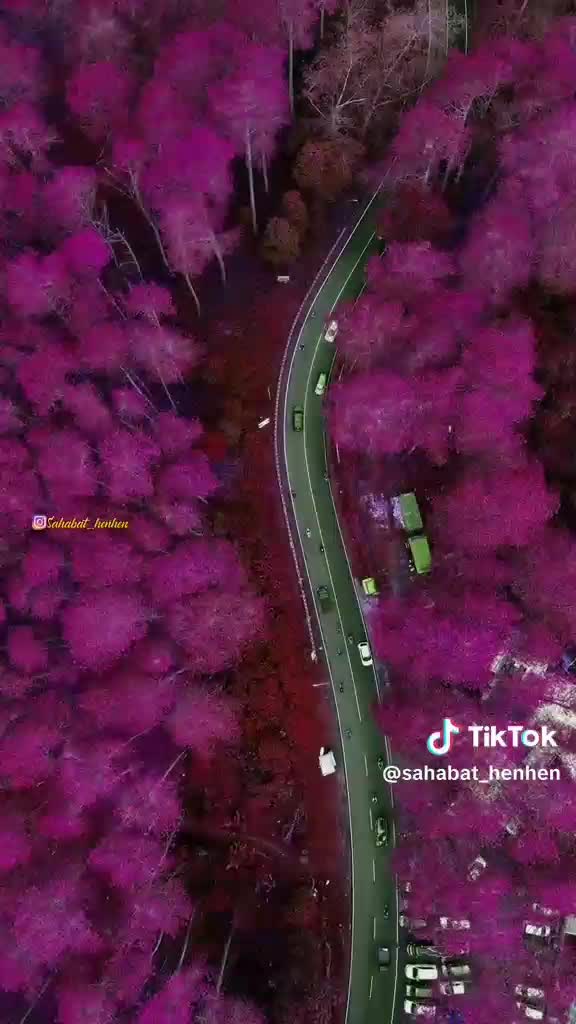 pemandangan indah vidio direkam oleh sahabat henhen 