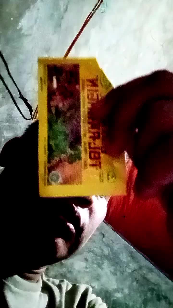 when the rainy season hits