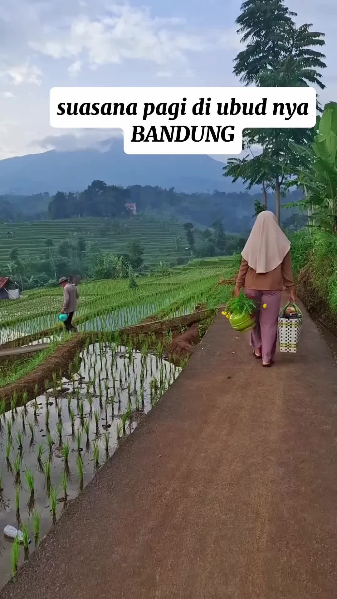 Suasana pagi di ubud nya bandung, sejuk pisan👍 #ubud #viral #wisata #indonesia #fyp #fyi #sawah #pemandangan #alam 
