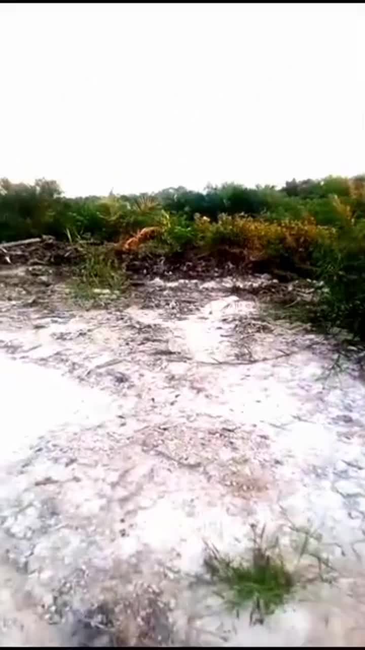 JALAN PAGI