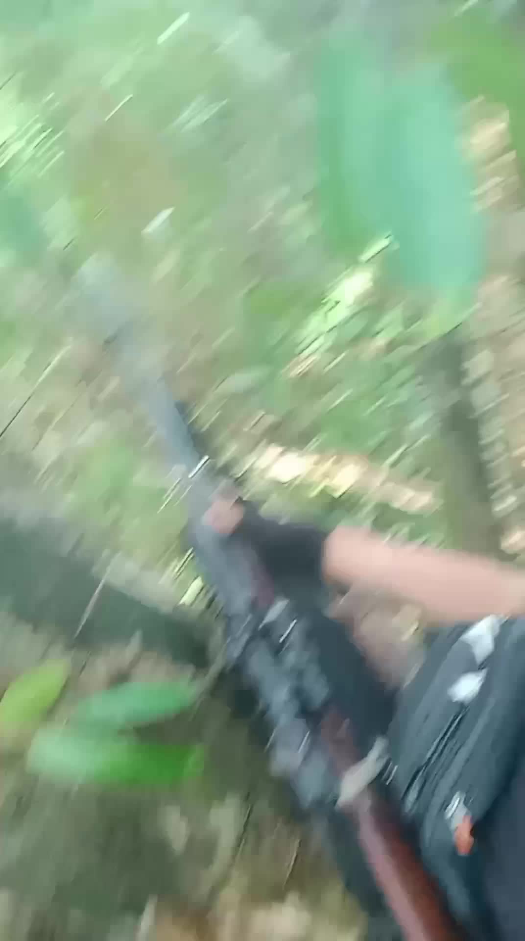 nyopeng kijang hutan Kalimantan 