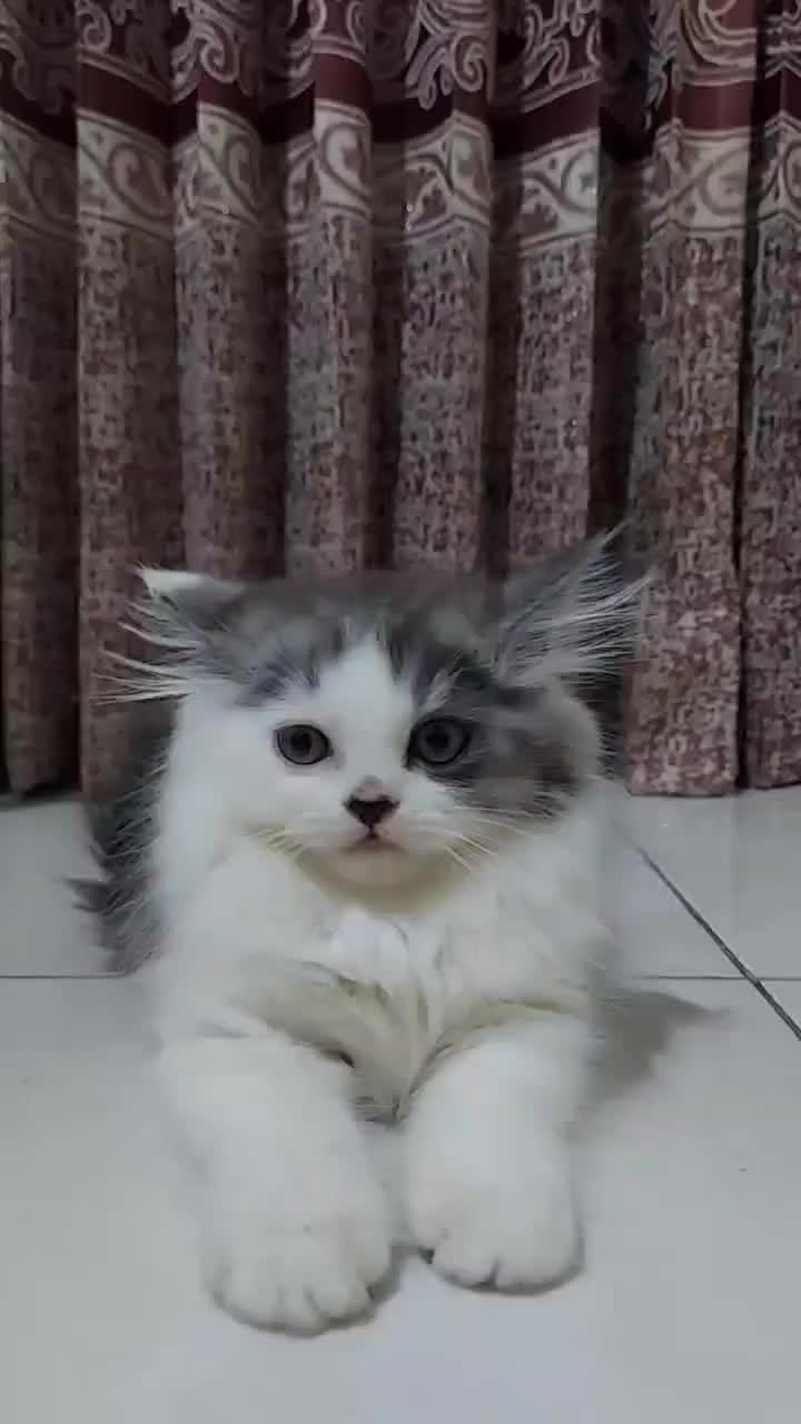 MY LOVELY 🤍